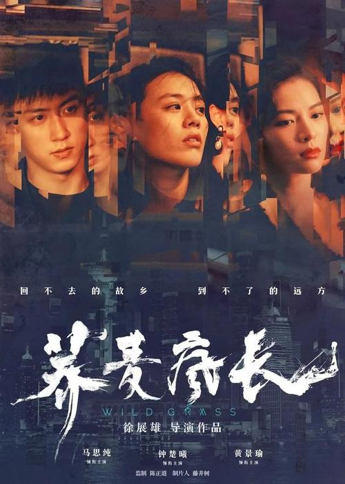 查普曼大学艺术文凭证书
